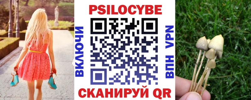 hydra ССЫЛКА  Нальчик  Псилоцибиновые грибы Magic Shrooms 