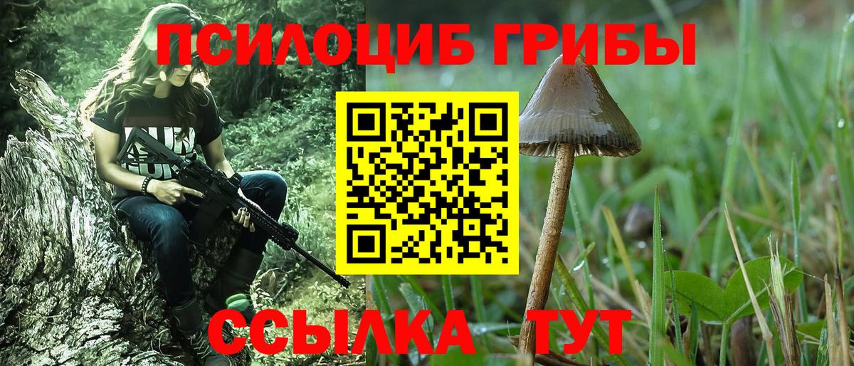 Нальчик  Псилоцибиновые грибы MAGIC MUSHROOMS  Вход с VPN  Галлюциногенные грибы MAGIC MUSHROOMS 