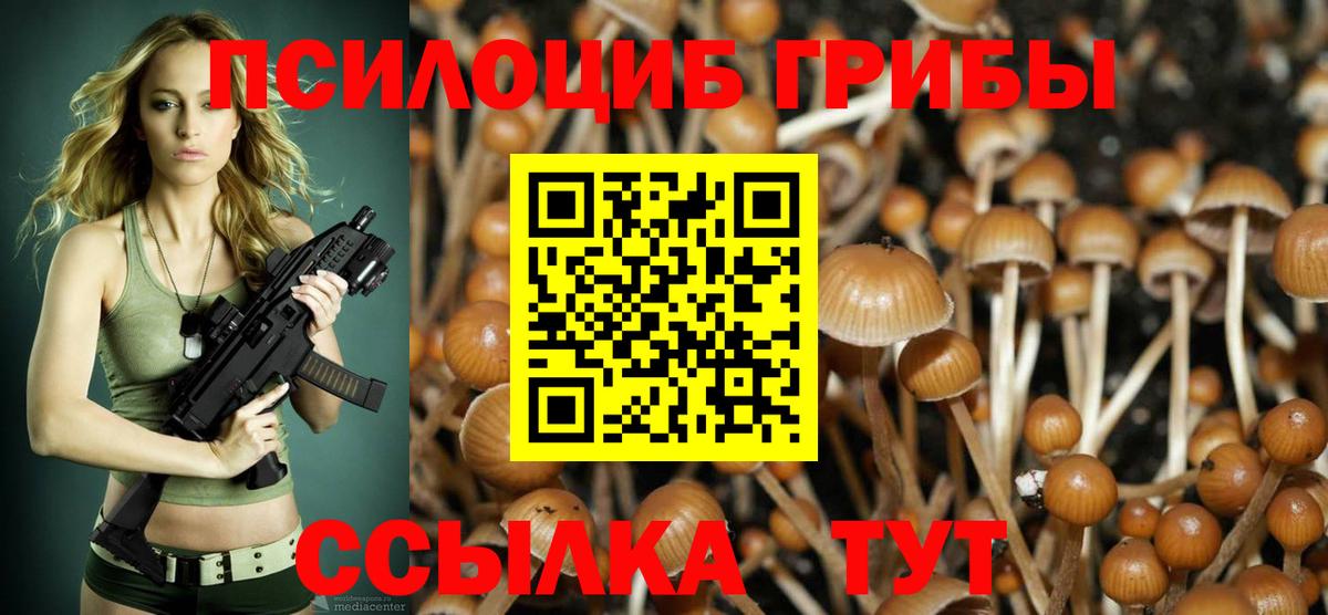 Галлюциногенные грибы Psilocybine cubensis Нальчик